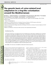 The Genetic Basis of Color-Related Local Adaptation in a Ring-Like Colonization Around the Mediterranean