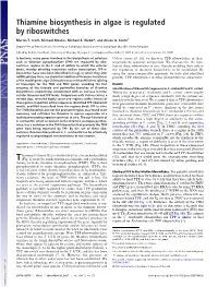 Thiamine Biosynthesis in Algae Is Regulated by Riboswitches