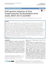 Draft Genome Sequences of Three Fungal-Interactive Paraburkholderia