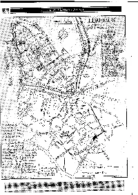 Limerick in 1689