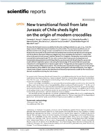New Transitional Fossil from Late Jurassic of Chile Sheds Light on the Origin of Modern Crocodiles Fernando E