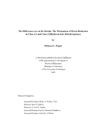 The Mechanism of Flavin Reduction in Class 1A and Class 2 Dihydroorotate Dehydrogenases