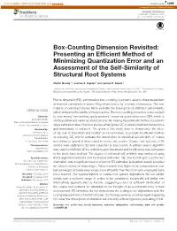 Box-Counting Dimension Revisited: Presenting an Efﬁcient Method of Minimizing Quantization Error and an Assessment of the Self-Similarity of Structural Root Systems
