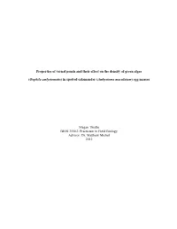 Properties of Vernal Ponds and Their Effect on the Density of Green Algae