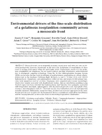 Environmental Drivers of the Fine-Scale Distribution of a Gelatinous Zooplankton Community Across a Mesoscale Front