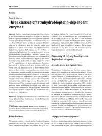 Three Classes of Tetrahydrobiopterin-Dependent Enzymes