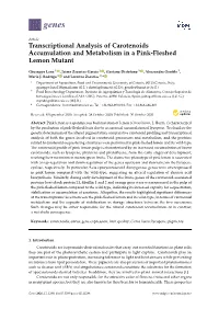 Transcriptional Analysis of Carotenoids Accumulation and Metabolism in a Pink-Fleshed Lemon Mutant
