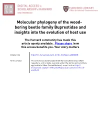 Molecular Phylogeny of the Wood- Boring Beetle Family Buprestidae and Insights Into the Evolution of Host Use