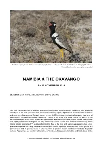 Namibia & the Okavango