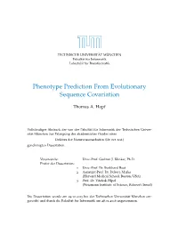 Phenotype Prediction from Evolutionary Sequence Covariation