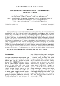 Pine Resin Sector in Portugal – Weaknesses and Challenges