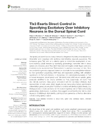 Tlx3 Exerts Direct Control in Specifying Excitatory Over Inhibitory Neurons in the Dorsal Spinal Cord