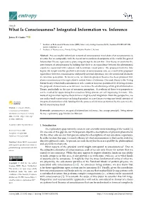 What Is Consciousness? Integrated Information Vs. Inference