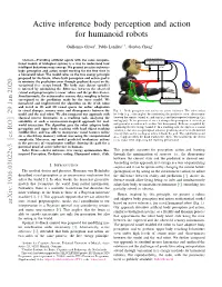 Active Inference Body Perception and Action for Humanoid Robots