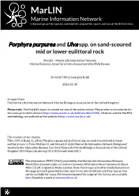 Download PDF Version