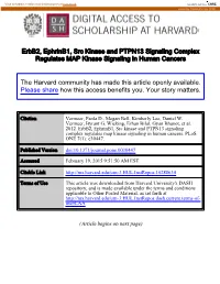 Erbb2, Ephrinb1, Src Kinase and PTPN13 Signaling Complex Regulates MAP Kinase Signaling in Human Cancers