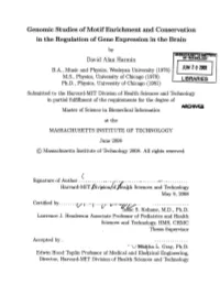 Genomic Studies of Motif Enrichment and Conservation in the Regulation