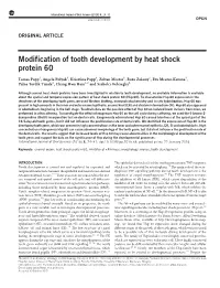 Modification of Tooth Development by Heat Shock Protein 60