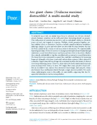 Are Giant Clams (Tridacna Maxima) Distractible? a Multi-Modal Study