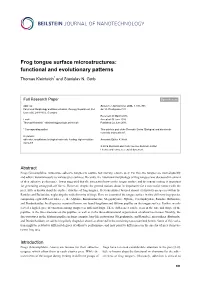 Frog Tongue Surface Microstructures: Functional and Evolutionary Patterns