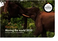 Moving the World 2020 Protecting Animals from Cruelty and Suffering Our Vision: a World Where Animals Live Free from Cruelty and Suffering
