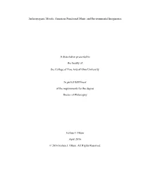 American Functional Music and Environmental Imaginaries