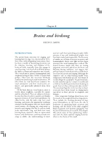 Brains and Birdsong