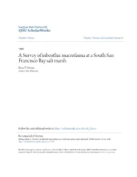 A Survey of Inbenthic Macrofauna at a South San Francisco Bay Salt Marsh Brian T