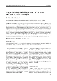 Atypical Fibroepithelial Hyperplasia of the Teats in a Sphynx Cat: a Case Report