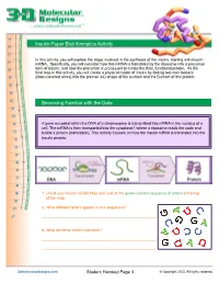 Insulin Synthesis Handout