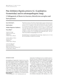 Pine Defoliator Bupalus Piniaria (L.) (Lepidoptera: Geometridae) and Its Entomopathogenic Fungi