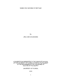 University of Florida Thesis Or Dissertation Formatting