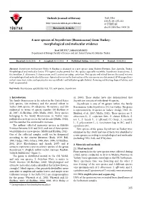 A New Species of Sisymbrium (Brassicaceae) from Turkey: Morphological and Molecular Evidence