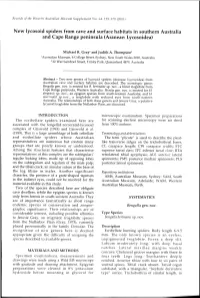Adec Preview Generated PDF File