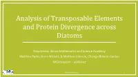 Analysis of Transposable Elements and Protein Divergence Across Diatoms