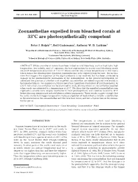 Zooxanthellae Expelled from Bleached Corals at 33°C Are