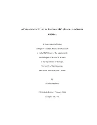 A Thesis Submitted to the College of Graduate Studies and Research In