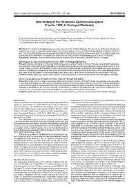 New Finding of the Threatened Apteromantis Aptera (Fuente, 1893) in Portugal (Mantodea)