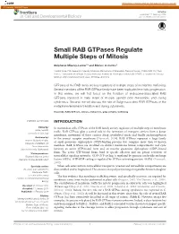 Small RAB Gtpases Regulate Multiple Steps of Mitosis