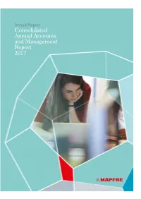 Consolidated Annual Accounts and Management Report 2017