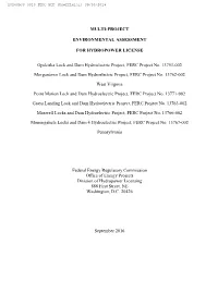 Opekiska Lock and Dam Hydroelectric Project, FERC Project No