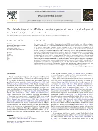 The LIM Adaptor Protein LMO4 Is an Essential Regulator of Neural Crest Development