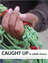 Caught up in Catch Shares
