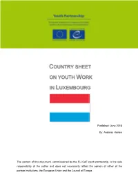 Youth Work in Luxembourg Go Back to the Beginning of the 20Th Century When Youth Movements Evolved