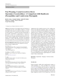 Post-Weaning Cranial Growth in Shrew Opossums (Caenolestidae): a Comparison with Bandicoots (Peramelidae) and Carnivorous Marsupials