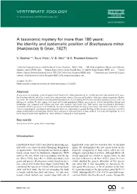 The Identity and Systematic Position of Brachysaura Minor (Hardwicke & Gray, 1827)