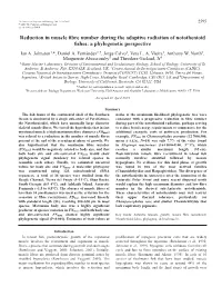 A Phylogenetic Perspective Ian A