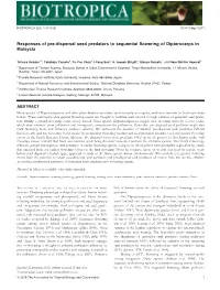 Dispersal Seed Predators to Sequential Flowering of Dipterocarps in Malaysia