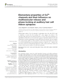 Elementary Properties of Ca2+ Channels and Their Influence On
