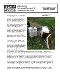 Bees and Bears – 4.10